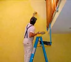 aExperiência em Pintor em Taboão da Serra